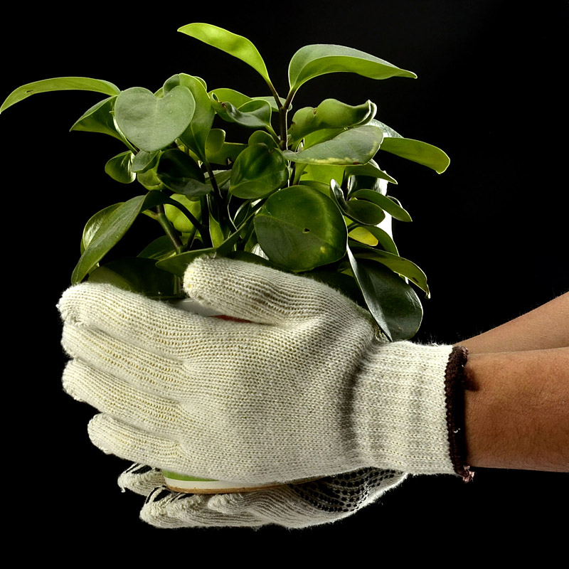 Rękawice robocze ochronne z PVC w kropki FL-7259